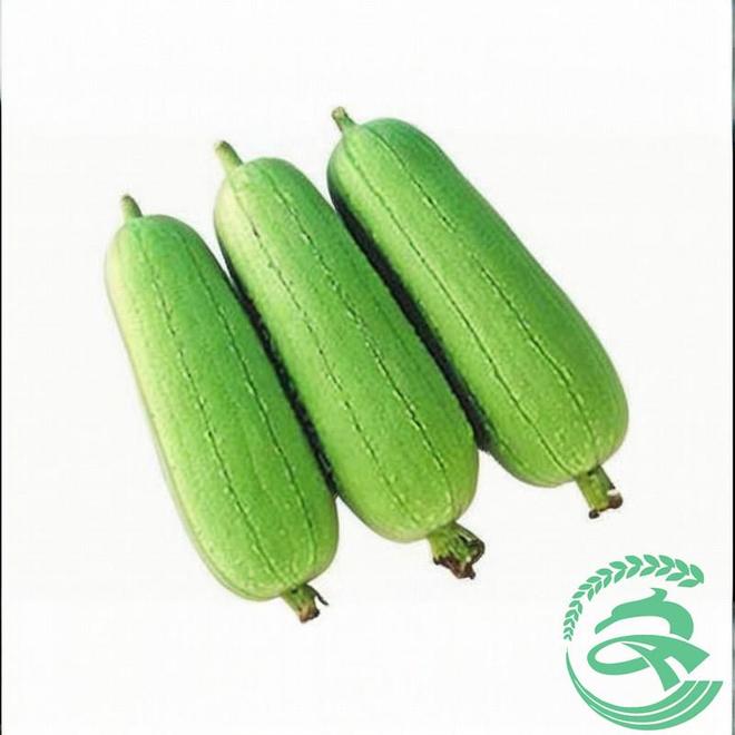 2026年5月優質送菜公司如何破解工廠食堂配送難題 從新鮮水果到全品類廚房解決方案
